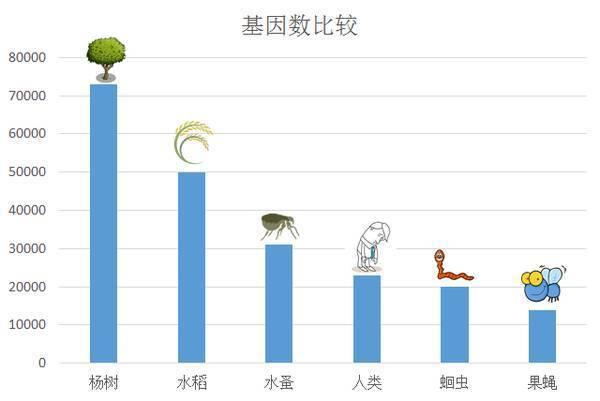 其他手套与杀螨剂对比分析，功能、性能与适用性探讨