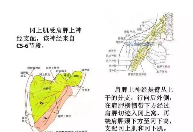 蚕丝线刺绣能否洗涤？详细解析与保养建议