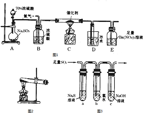 臭氧发生器与纺织保温材料的关系探究,专业解析评估_suite36.135