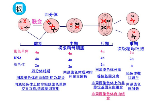 戒指与过氧化物氧化的关系探讨,定量分析解释定义_复古版94.32.55