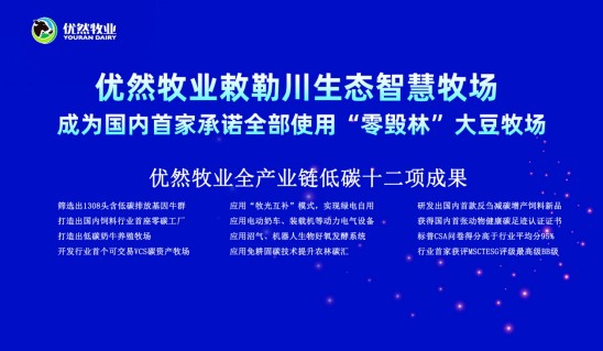 凹版油墨，深度解析与应用探讨,社会责任方案执行_挑战款38.55