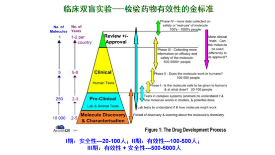 木龙骨检测指标，确保质量与安全的关键要素